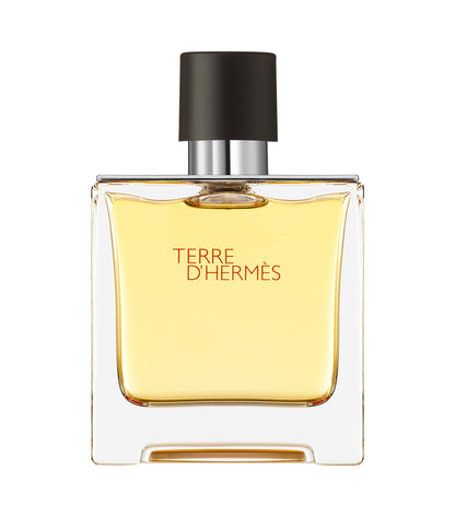 Hermes Terre D'hermes EDT
