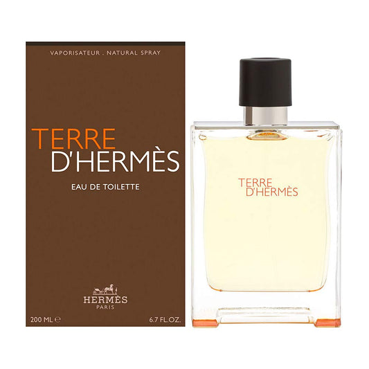 Hermes Terre D'hermes EDT