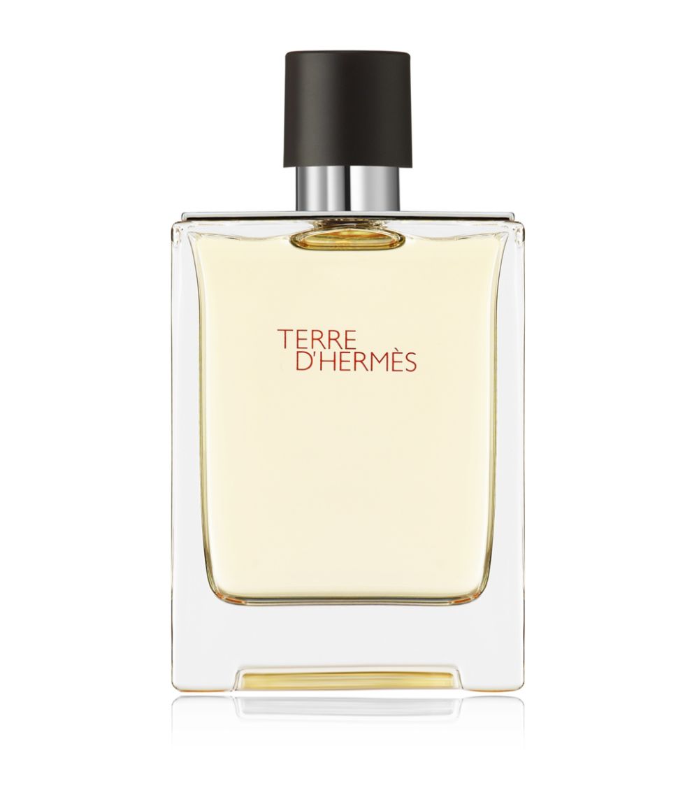 Hermes Terre D'hermes 2.5oz EDP