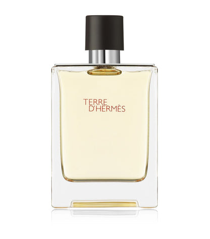 Hermes Terre D'hermes 2.5oz EDP